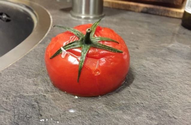 pomodoro congelato2