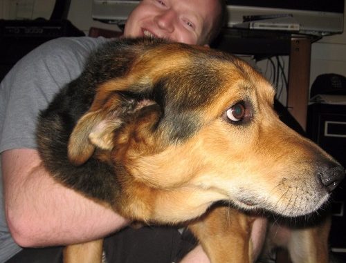uomo che abbraccia il cane 5 motivi per non abbracciare i cani