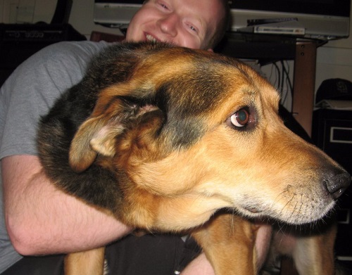 uomo che abbraccia il cane 5 motivi per non abbracciare i cani