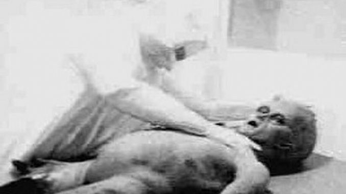 roswell roswell