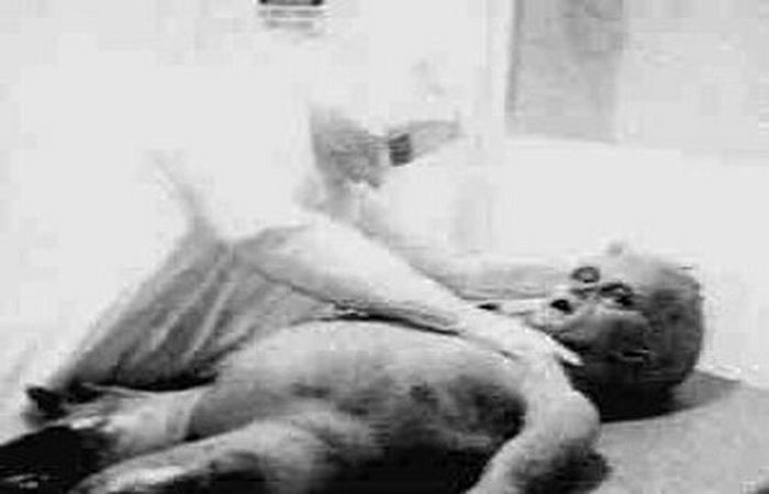 roswell roswell