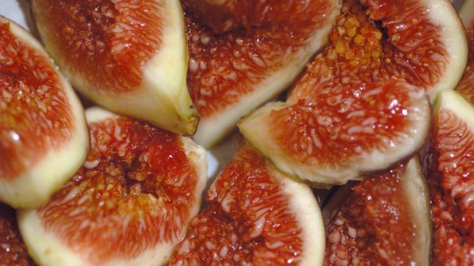 Marmellata di fichi, l'estate tutto l'anno Marmellata di fichi, l'estate tutto l'anno