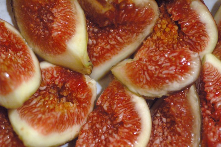 Marmellata di fichi, l'estate tutto l'anno Marmellata di fichi, l'estate tutto l'anno
