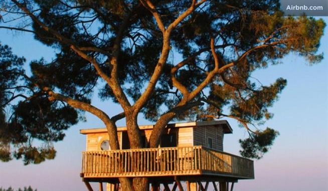 http://www.notizie.it/wp-content/uploads/2016/09/casa-sullalbero.jpg http://www.notizie.it/wp-content/uploads/2016/09/casa-sullalbero.jpg