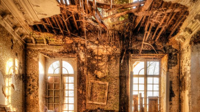 il-mio-cane-ed-io-me-and-my-dog-explore-abandoned-places-across-europe-15__880 Cane sul divano