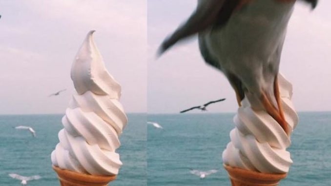 photobomb