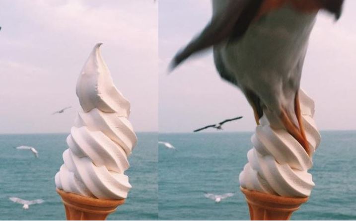 photobomb