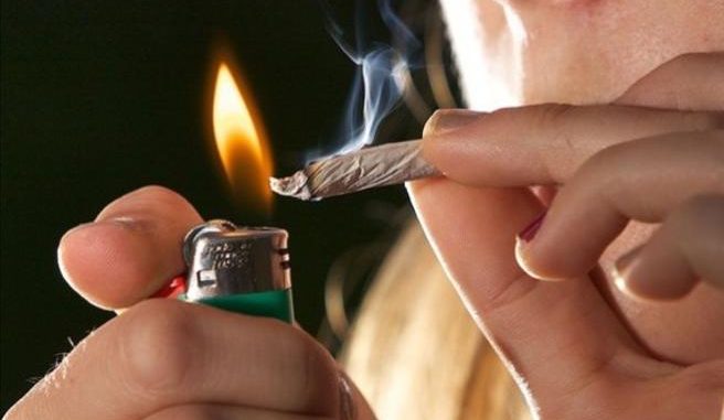 cannabis2-kexe-u43070105125372abg-656x492corriere-web-sezioni
