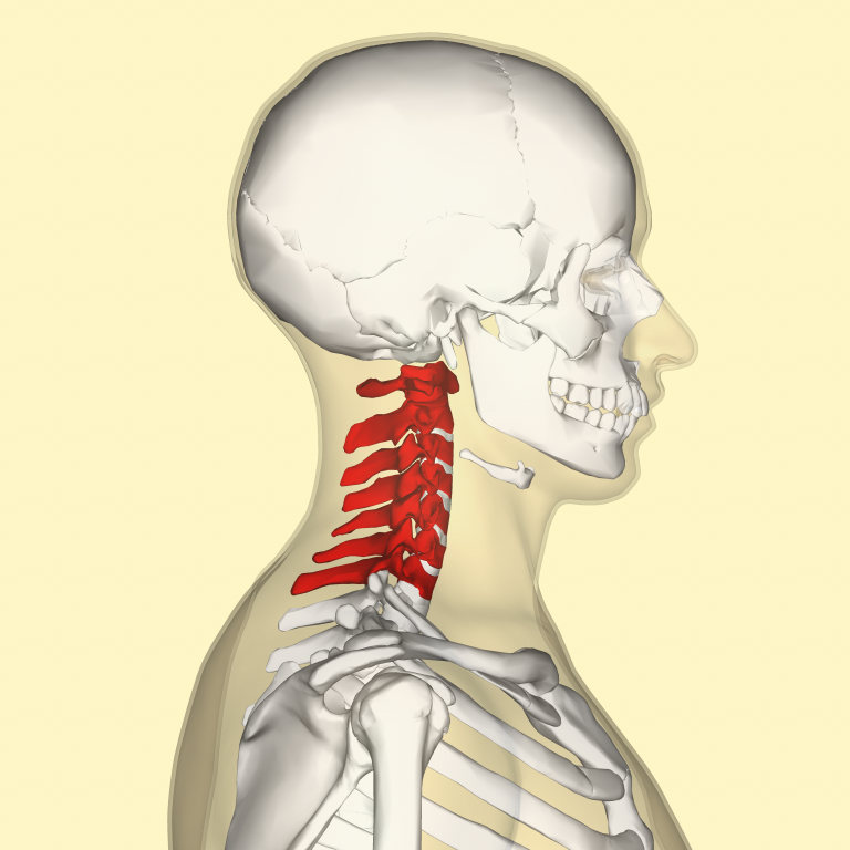 Cervicale: sintomi, rimedi e cura cervicale