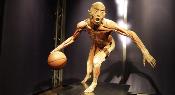real-bodies-3
