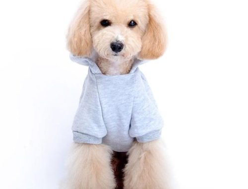 s-grigio-cappottino-maglietta-imbottito-invernale-per-cane-cucciolo-0-1 ALT