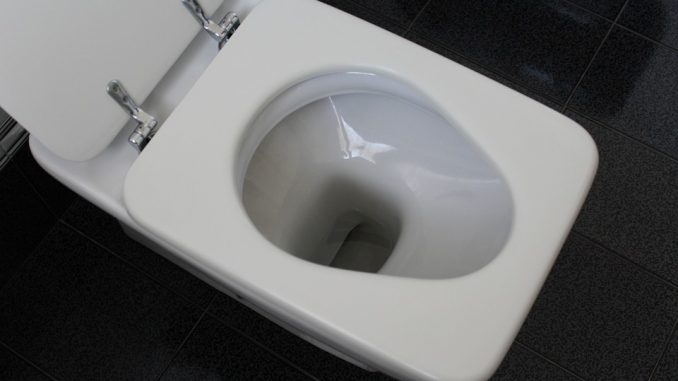 una-bomba-di-pulito-per-il-wc Una bomba di pulito per il wc