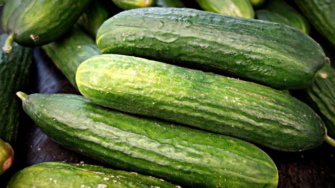 cucumber-1522921_960_720