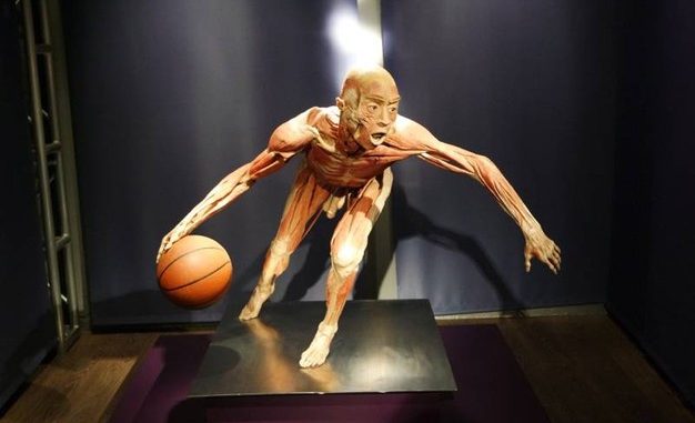 real-bodies real-bodies
