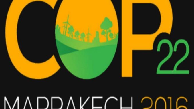 cop 22 cop 22