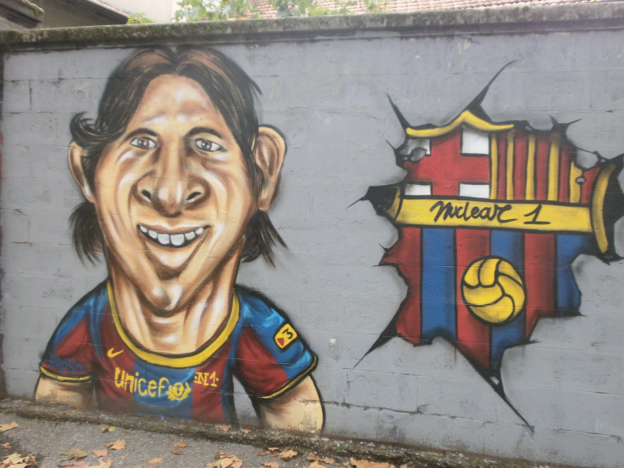 Lionel Messi: tutti i trofei vinti2048 x 1536
