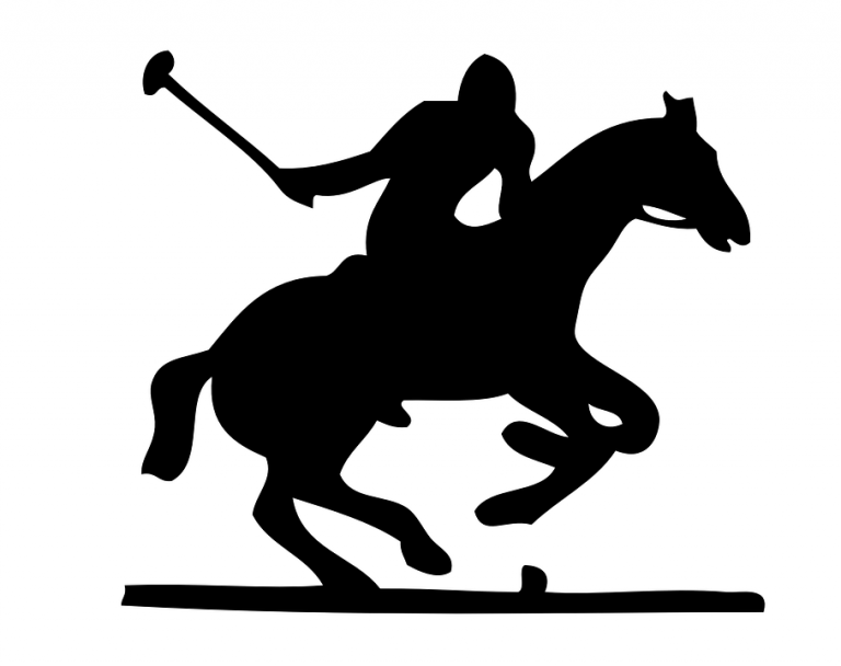 cavallo cavallo