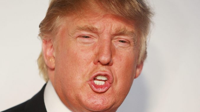 Frasi assurde e imbarazzanti Trump