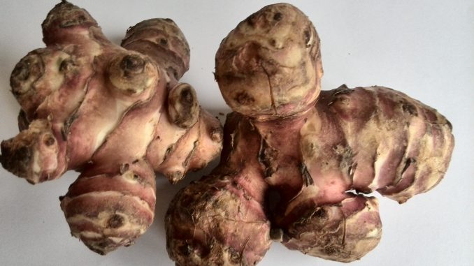 Topinambur: proprietà e ricette per la salute topinambur
