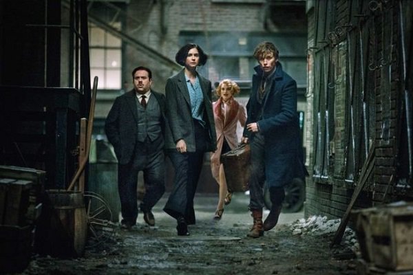 animali fantastici e dove trovarli: cast e personaggi Animali fantastici e dove trovarli