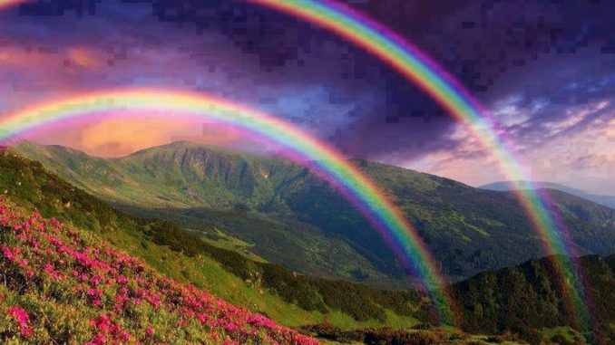 Arcobaleno: quali sono i colori Arcobaleno: quali sono i colori