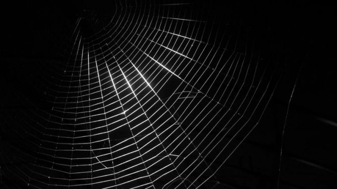 dark-web