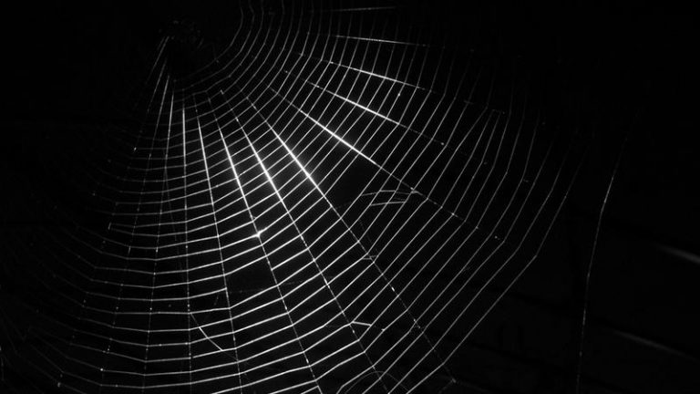 dark-web
