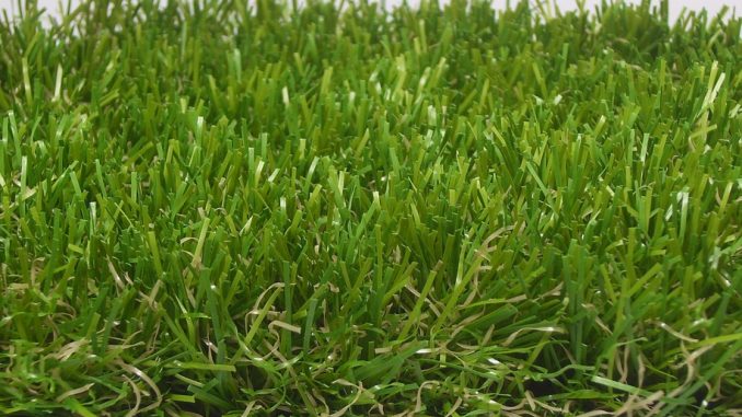 Campi erba sintetica: come comportarsi con i batteri batteri