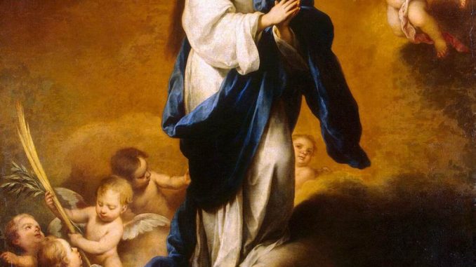 Perchè si festeggia Immacolata concezione Perchè si festeggia Immacolata concezione