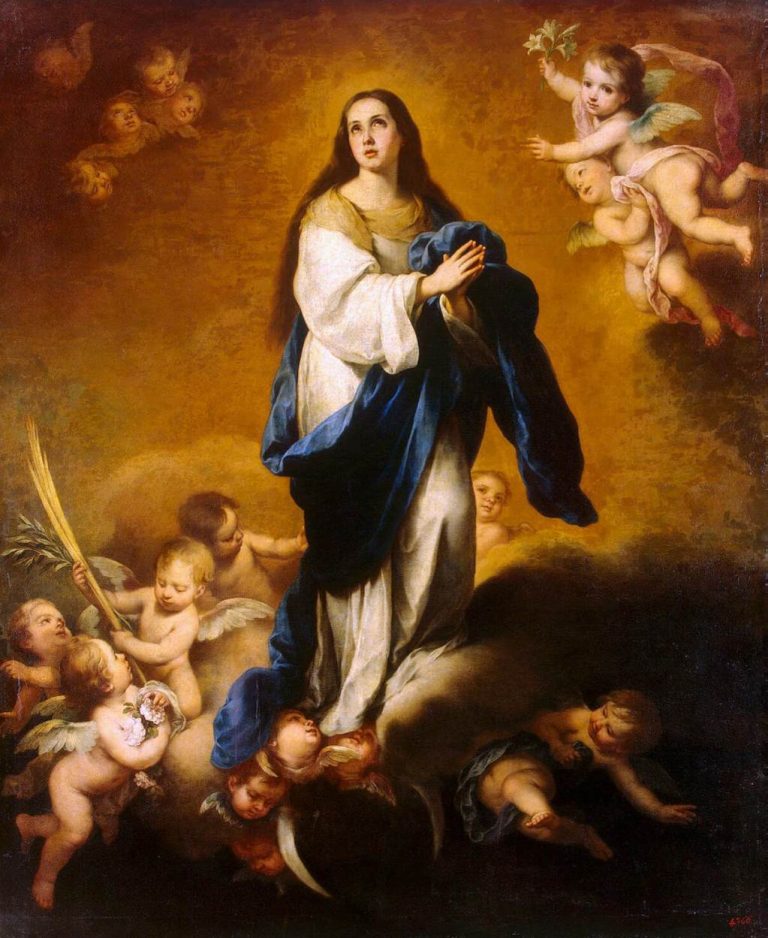 Perchè si festeggia Immacolata concezione Perchè si festeggia Immacolata concezione