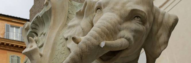 roma-elefante-bernini roma-elefante-bernini