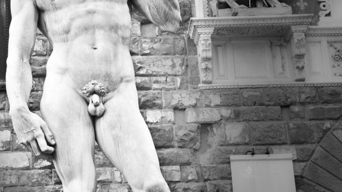 Pene piccolo "David" di Michelangelo. Pene piccolo "David" di Michelangelo.