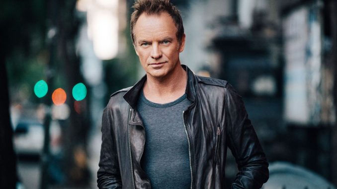 sting sting