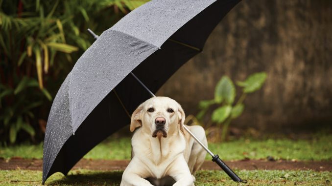 thinkstockphotos-482105523 ALT