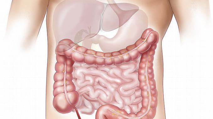come-riconoscere-i-sintomi-delle-patologie-epatiche Come riconoscere i sintomi delle patologie epatiche