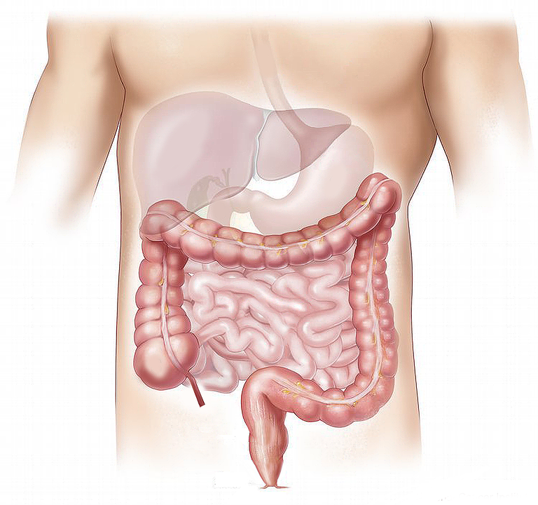 come-riconoscere-i-sintomi-delle-patologie-epatiche Come riconoscere i sintomi delle patologie epatiche
