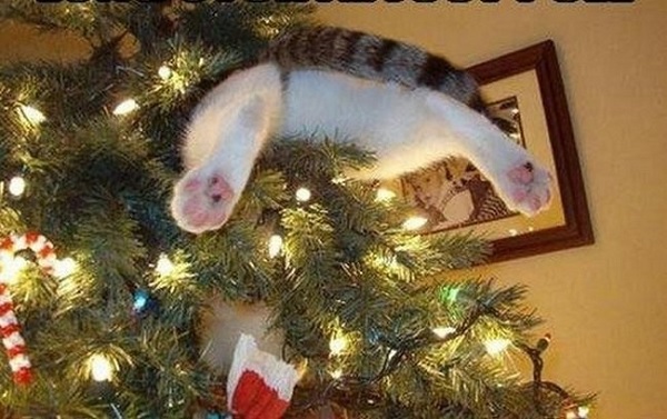 natale-e-infortuni-10-cose-da-evitare-per-non-farsi-del-male natale e infortuni
