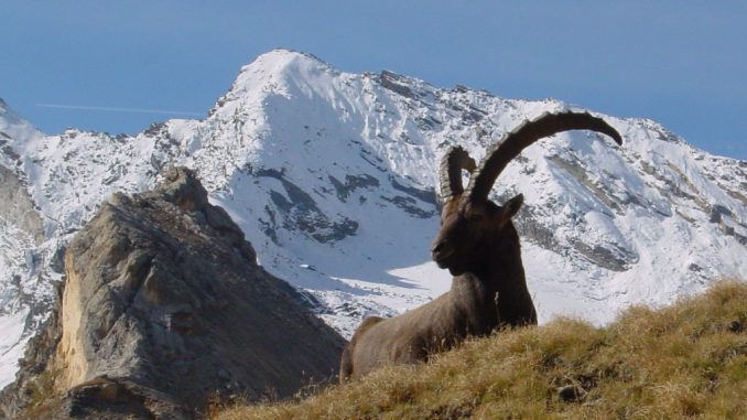 montagna montagna