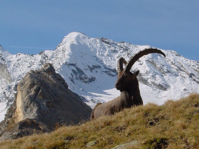 montagna montagna