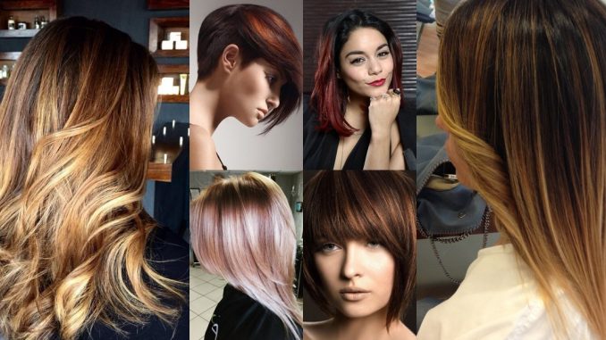 shatush-capelli-scuri-1