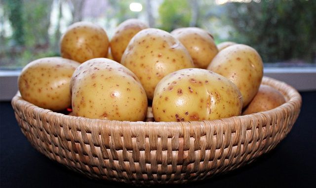 coltivare-patate-nei-sacchi