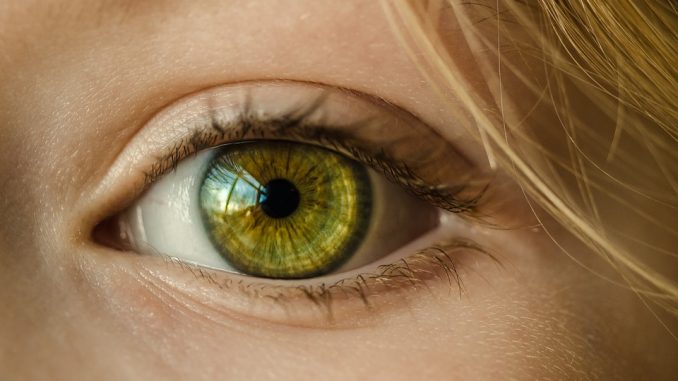 Occhi verdi: sfumature diverse più belle sfumature