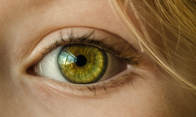 Occhi verdi: sfumature diverse più belle sfumature