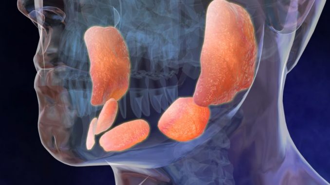 Orecchioni adulti: sintomi e cosa fare Orecchioni adulti: sintomi e cosa fare