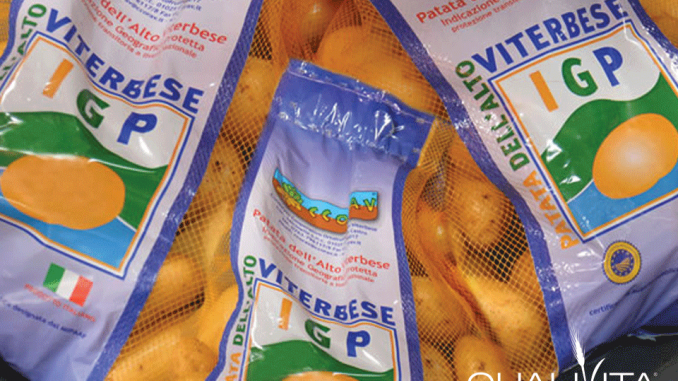 Quanto produce una pianta di patate Quanto produce una pianta di patate
