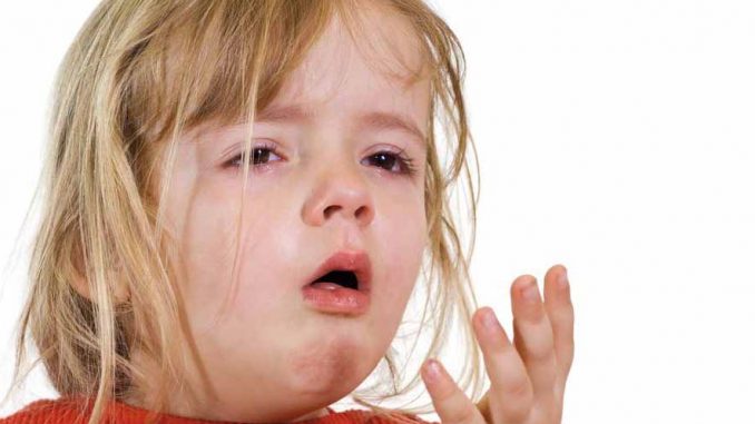Tosse canina o pertosse: cura per adulti e bambini Tosse canina o pertosse: cura per adulti e bambini