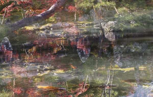 58573-unnamed "Ori Gersht: The Floating World" a Milano