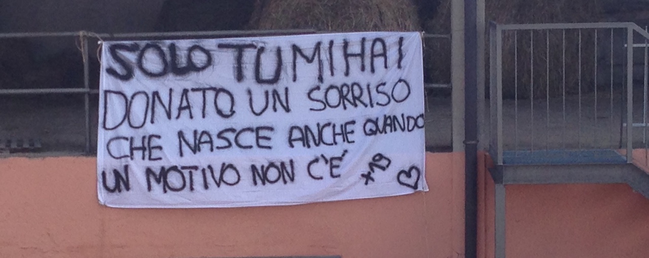 sesso