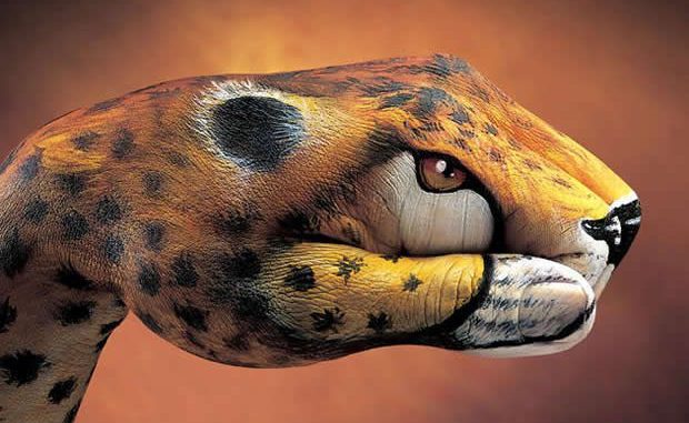 hand-painting-art-guido-daniele2 “Manimali” di Guido Daniele.