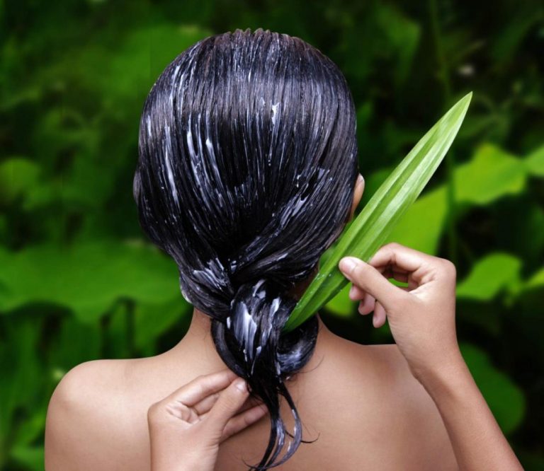 Impacco per capelli con gel di aloe vera: come si fa Impacco per capelli con gel di aloe vera: come si fa